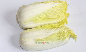 黄芽白菜